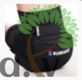 Blindsave Ceļsargi