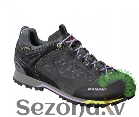 Mammut pārgājiena apavi Ridge Low GTX W