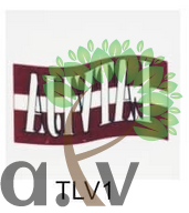 Tetovējums TLV-001