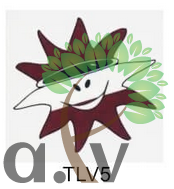 Tetovējums TLV-005