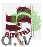 Tetovējums TLV-006
