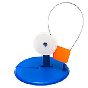 Ziemas ūda apaļa L